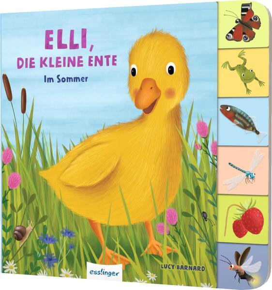 Mein erstes Jahreszeitenbuch: Elli, die kleine Ente (Mängelexemplar)