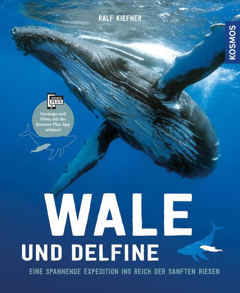 Wale &amp; Delfine - Eine spannende Expedition ins Reich der sanften Riesen