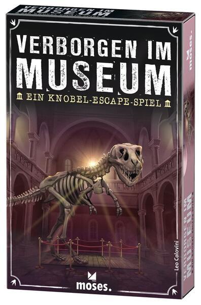 Verborgen im Museum - Ein Knobel-Escape Spiel